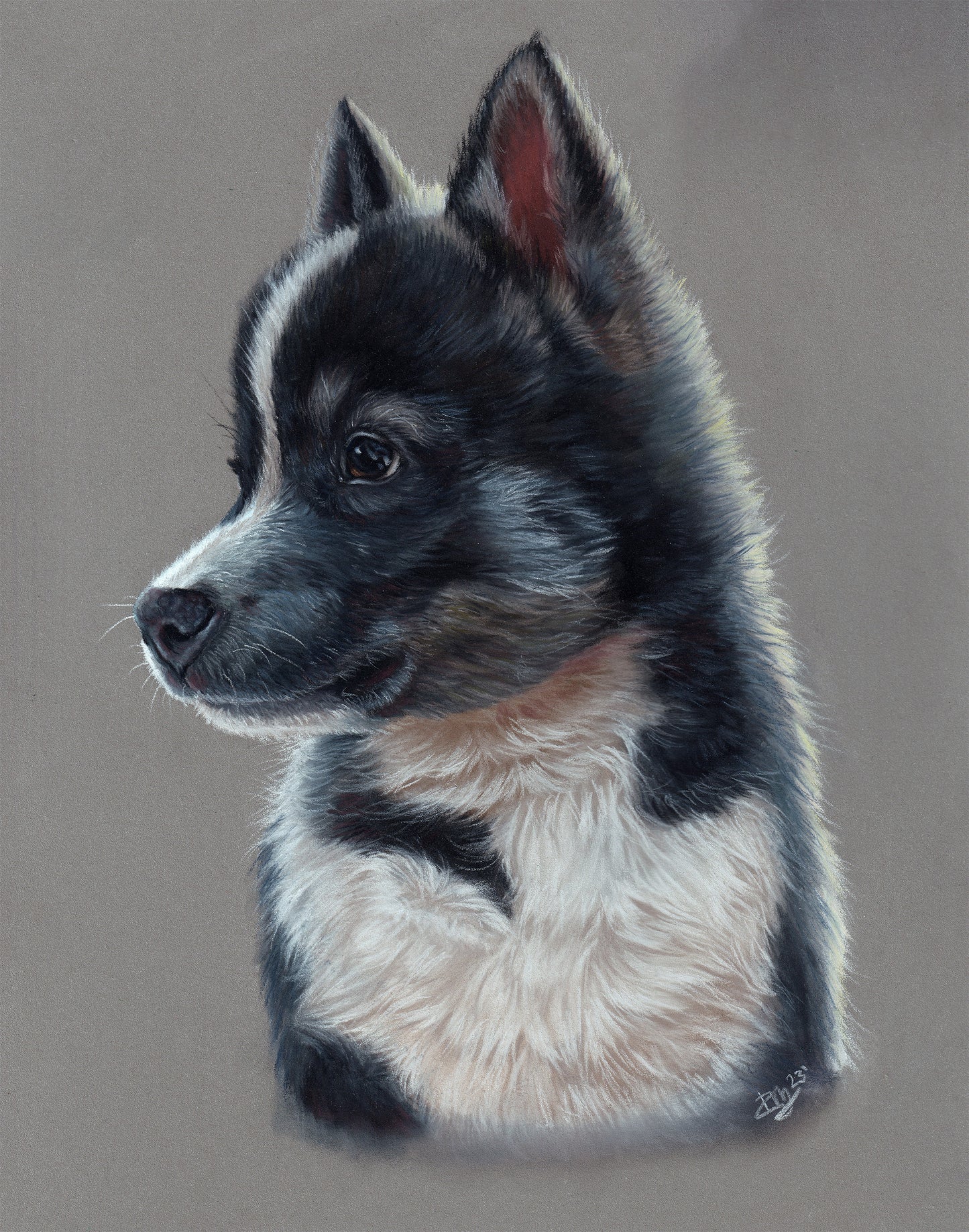 Pastel Pet Portraits (Small)