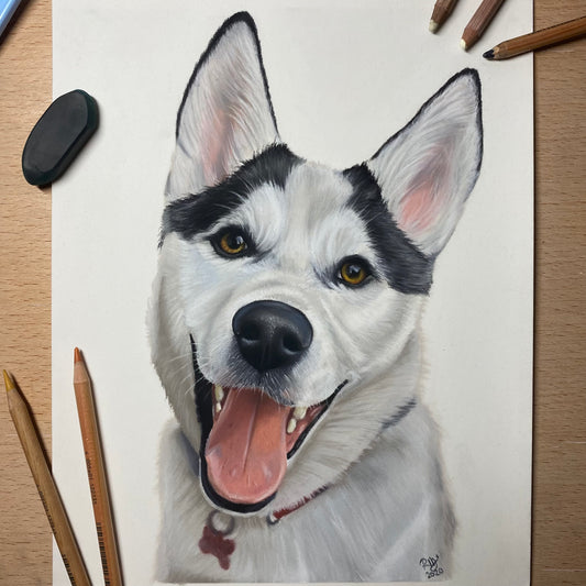 Pastel Pet Portraits (Small)